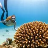 blog-8